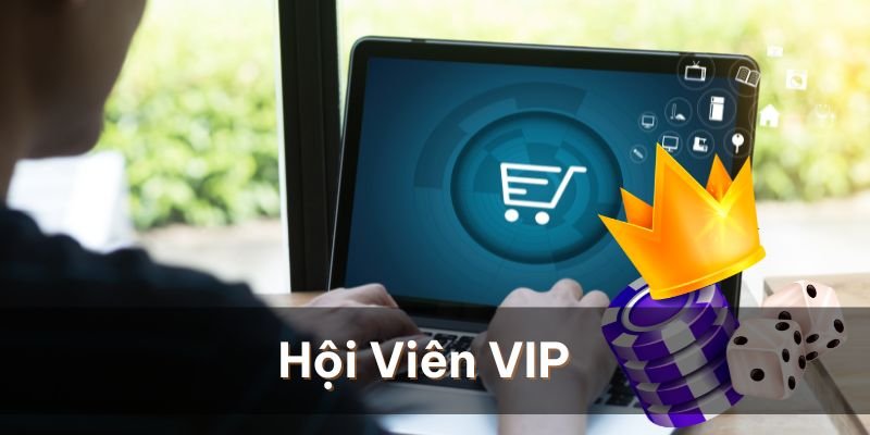 Chương trình hội viên VIP tại nhà cái 8xBet bạn nên biết